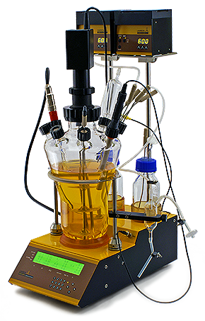 Bioreactor+Fermentor MINIFOR