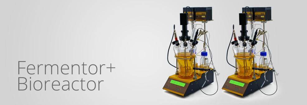 Fermentor + Bioreactor